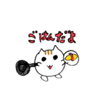 たまねこみかん（個別スタンプ：17）