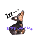 kojirou ＆ yume,2（個別スタンプ：4）