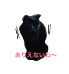 強気でクールな黒猫ですけど。（個別スタンプ：5）