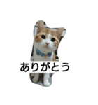 にゃんズの日常（個別スタンプ：24）