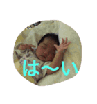 姫、姫（個別スタンプ：11）