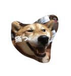 ラブさんです（個別スタンプ：3）