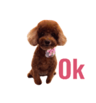 My sweet momo 2（個別スタンプ：3）