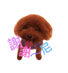 My sweet momo 2（個別スタンプ：5）