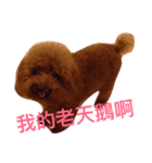 My sweet momo 2（個別スタンプ：7）