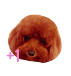 My sweet momo 2（個別スタンプ：10）