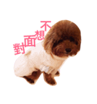 My sweet momo 2（個別スタンプ：14）