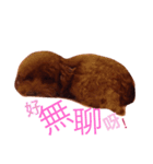 My sweet momo 2（個別スタンプ：15）