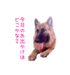 はぴねすな日々（個別スタンプ：2）