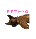 はぴねすな日々（個別スタンプ：7）