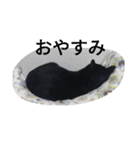 黒ネコくん（個別スタンプ：4）
