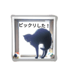 黒ネコくん（個別スタンプ：12）