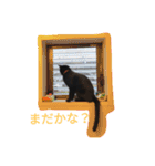 黒ネコくん（個別スタンプ：15）