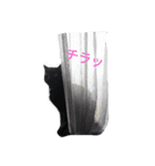 黒ネコくん（個別スタンプ：16）