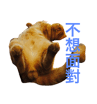 Mu＆Nu（個別スタンプ：2）