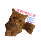 Mu＆Nu（個別スタンプ：4）