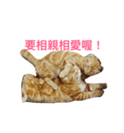 Mu＆Nu（個別スタンプ：5）