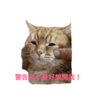 Mu＆Nu（個別スタンプ：7）