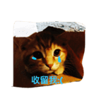 Mu＆Nu（個別スタンプ：8）