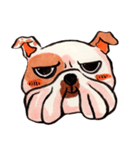 Giant The Bulldog（個別スタンプ：12）