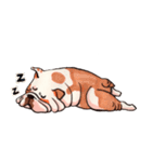 Giant The Bulldog（個別スタンプ：16）