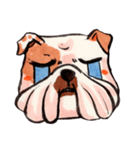 Giant The Bulldog（個別スタンプ：17）
