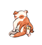 Giant The Bulldog（個別スタンプ：21）