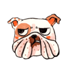Giant The Bulldog（個別スタンプ：28）