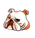 Giant The Bulldog（個別スタンプ：33）