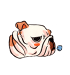 Giant The Bulldog（個別スタンプ：37）
