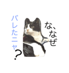 ちじゅ毛（個別スタンプ：2）