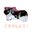 ちじゅ毛（個別スタンプ：6）