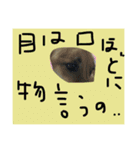 ぼく、いっちゃん！（個別スタンプ：6）