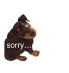 german-pinscher（個別スタンプ：9）