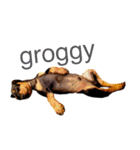 german-pinscher（個別スタンプ：15）