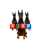 german-pinscher（個別スタンプ：30）