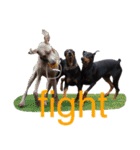german-pinscher（個別スタンプ：36）