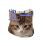 子猫の集い（個別スタンプ：4）