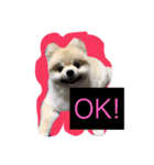 ふわも子ちゃん（個別スタンプ：1）