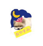 ふわも子ちゃん（個別スタンプ：3）