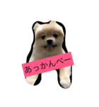 ふわも子ちゃん（個別スタンプ：5）