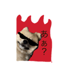 ふわも子ちゃん（個別スタンプ：9）