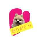 ふわも子ちゃん（個別スタンプ：11）