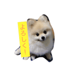 ふわも子ちゃん（個別スタンプ：15）