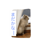 ふわも子ちゃん（個別スタンプ：18）