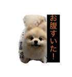 ふわも子ちゃん（個別スタンプ：22）