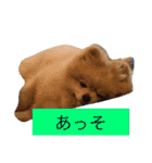 ふわも子ちゃん（個別スタンプ：24）