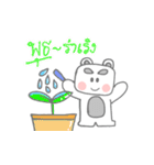 Kuma bear（個別スタンプ：3）