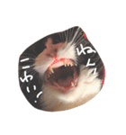 サバブリ（個別スタンプ：4）
