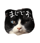 サバブリ（個別スタンプ：5）